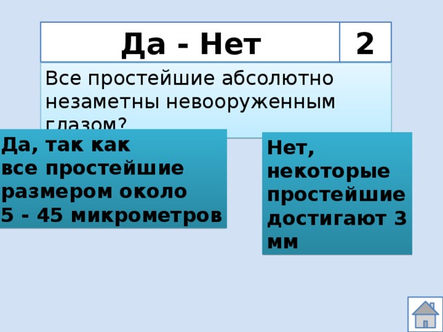 Да - Нет 2 Все простейшие абсолютно незаметны невооруженным глазом? Да, так как все простейшие размером около 5 - 45 микрометров Нет, некоторые простейшие достигают 3 мм 