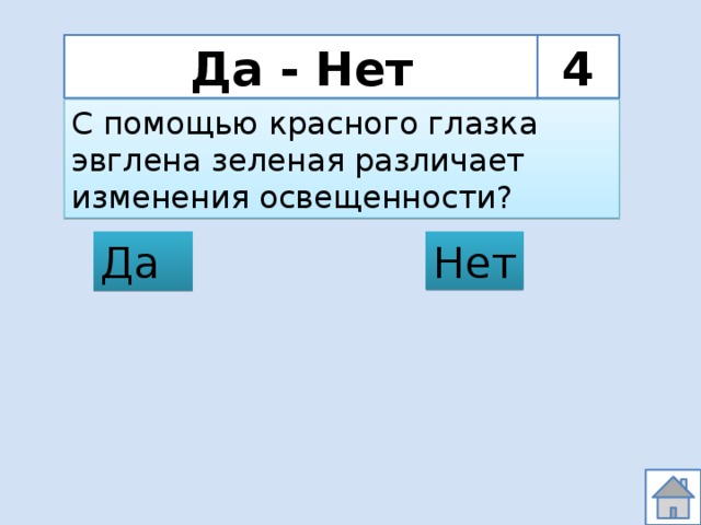 Да - Нет 4 С помощью красного глазка эвглена зеленая различает изменения освещенности? Нет Да 