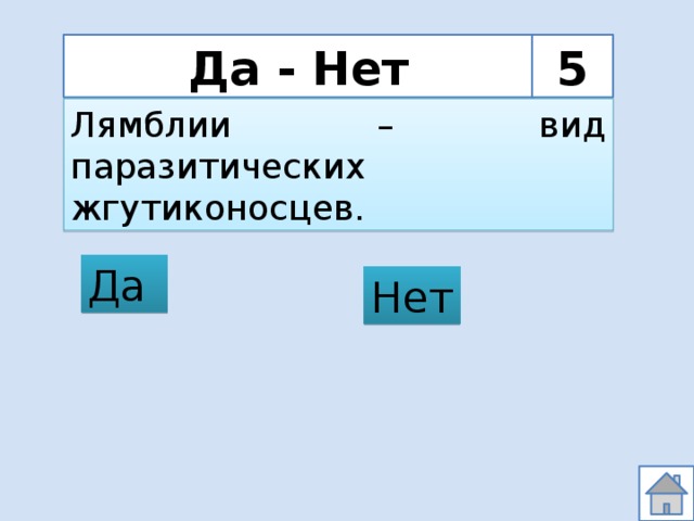Да - Нет 5 Лямблии – вид паразитических жгутиконосцев. Да Нет 