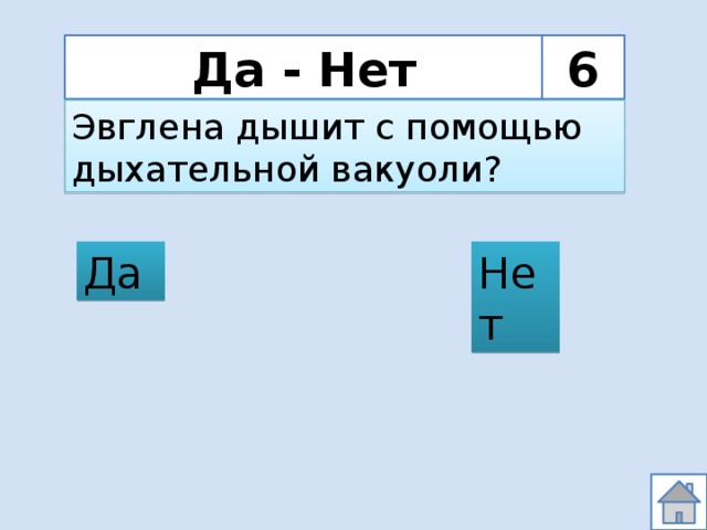 Да - Нет 6 Эвглена дышит с помощью дыхательной вакуоли? Да Нет 