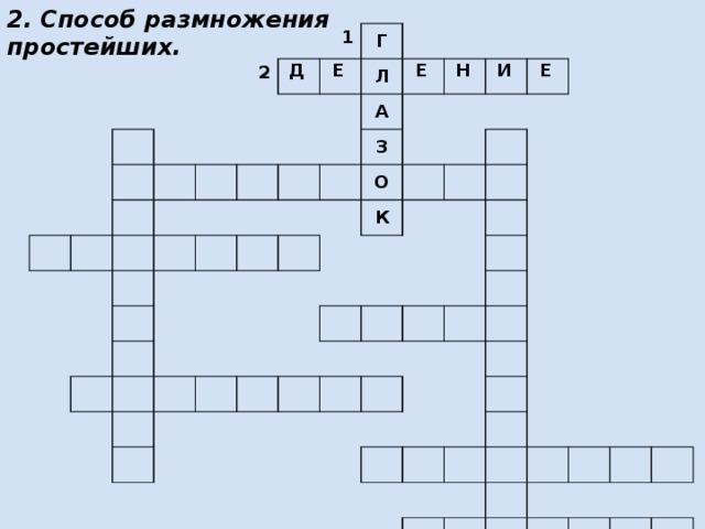 2. Способ размножения простейших. 2 1 Г Л А З О К Д Е Е Н И Е 