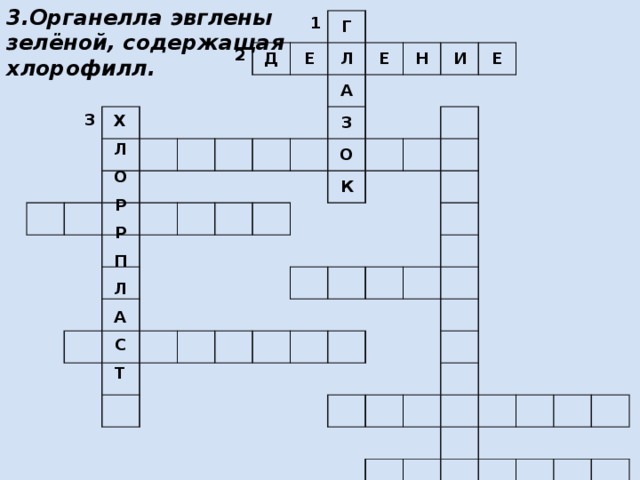3.Органелла эвглены зелёной, содержащая хлорофилл. 3 2 Д 1 Е Г Л А Е Н З И О Е К Х Л О Р Р П Л А С Т 