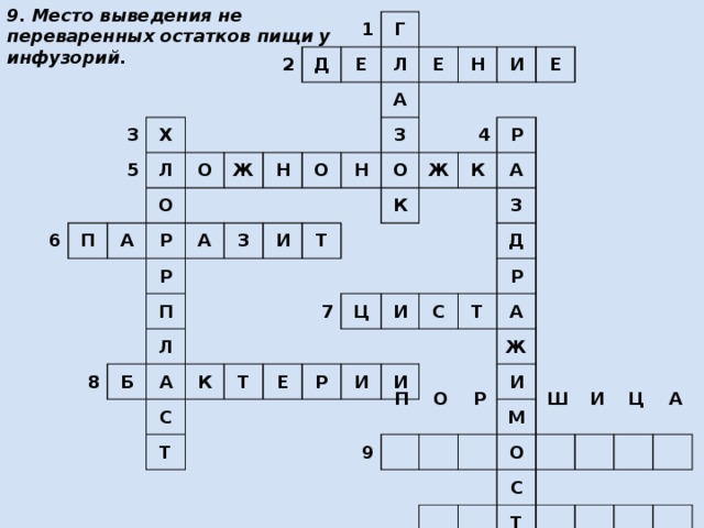 9. Место выведения не переваренных остатков пищи у инфузорий. 3 6 Х 5 2 Л П Д А О 1 О Е Г Ж Р Л А Н Р Е З А 8 О П З Н Б Л Н И И А Т О Ж 4 К К Е С 7 Т Р Т К Е А Ц Р З И С Д И Т И Р А 9 Ж И М О С Т Ь П О Р Ш И Ц А 