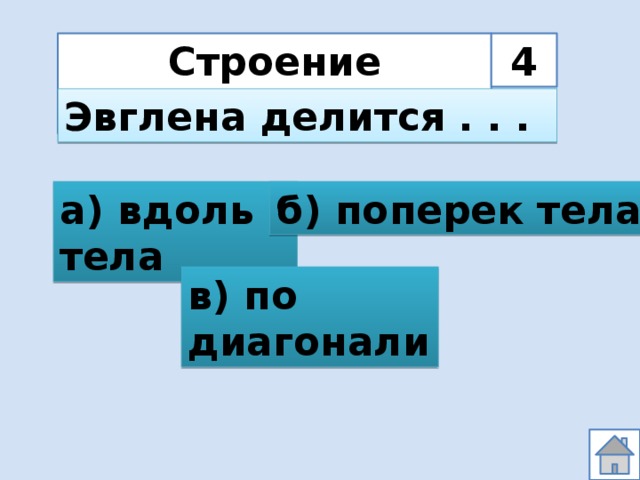 Строение простейших 4 Эвглена делится . . . а) вдоль тела б) поперек тела в) по диагонали 