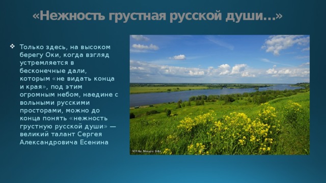 «Нежность грустная русской души…» Только здесь, на высоком берегу Оки, когда взгляд устремляется в бесконечные дали, которым «не видать конца и края», под этим огромным небом, наедине с вольными русскими просторами, можно до конца понять «нежность грустную русской души» — великий талант Сергея Александровича Есенина   