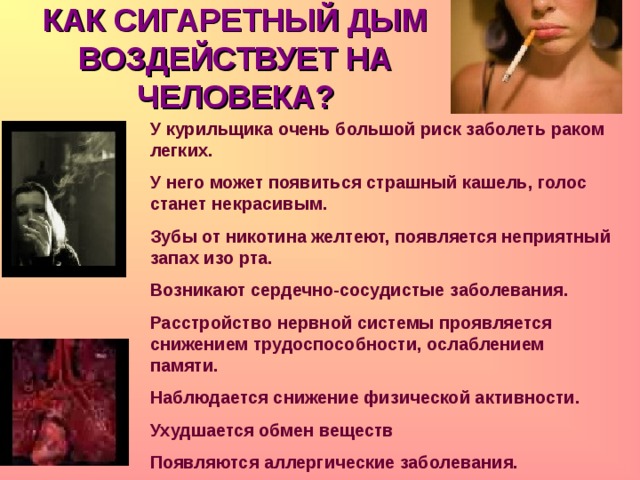 КАК СИГАРЕТНЫЙ ДЫМ ВОЗДЕЙСТВУЕТ НА ЧЕЛОВЕКА? У курильщика очень большой риск заболеть раком легких. У него может появиться страшный кашель, голос станет некрасивым. Зубы от никотина желтеют, появляется неприятный запах изо рта. Возникают сердечно-сосудистые заболевания. Расстройство нервной системы проявляется снижением трудоспособности, ослаблением памяти. Наблюдается снижение физической активности. Ухудшается обмен веществ Появляются аллергические заболевания. 