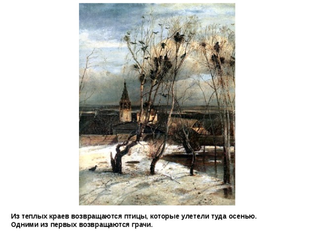 АЛЕКСЕЙ  КОНДРАТЬЕВИЧ  САВРАСОВ   Грачи прилетели Из теплых краев возвращаются птицы, которые улетели туда осенью.  Одними из первых возвращаются грачи. 