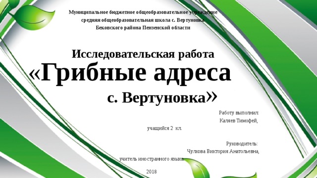 Муниципальное бюджетное общеобразовательное учреждение средняя общеобразовательная школа с. Вертуновка  Бековского района Пензенской области   Исследовательская работа « Грибные адреса с. Вертуновка »  Работу выполнил:  Каляев Тимофей,  учащийся 2 кл.   Руководитель:  Чулкова Виктория Анатольевна, учитель иностранного языка.    2018    