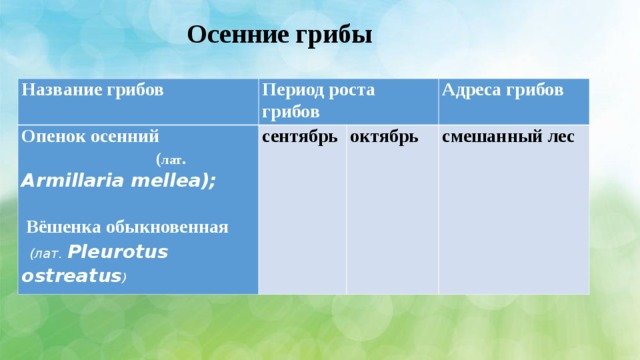 Осенние грибы Название грибов Период роста грибов Опенок осенний ( лат . Armillaria mellea) ;  сентябрь Адреса грибов  Вёшенка обыкновенная октябрь  (лат. Pleurotus ostreatus ) смешанный лес 