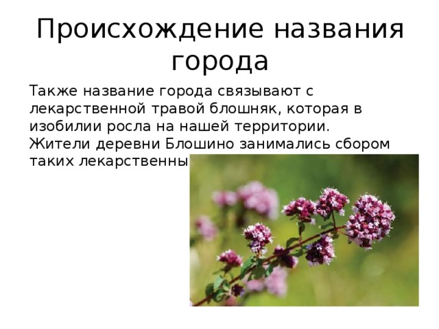 Происхождение названия города Также название города связывают с лекарственной травой блошняк, которая в изобилии росла на нашей территории.  Жители деревни Блошино занимались сбором таких лекарственных трав. 