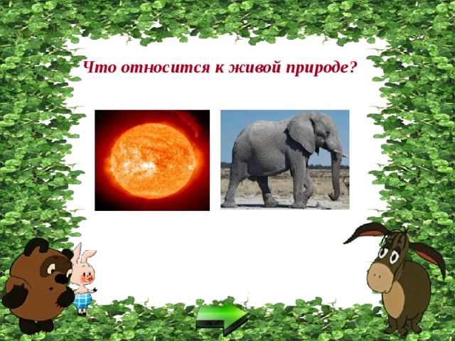 Что относится к живой природе? 