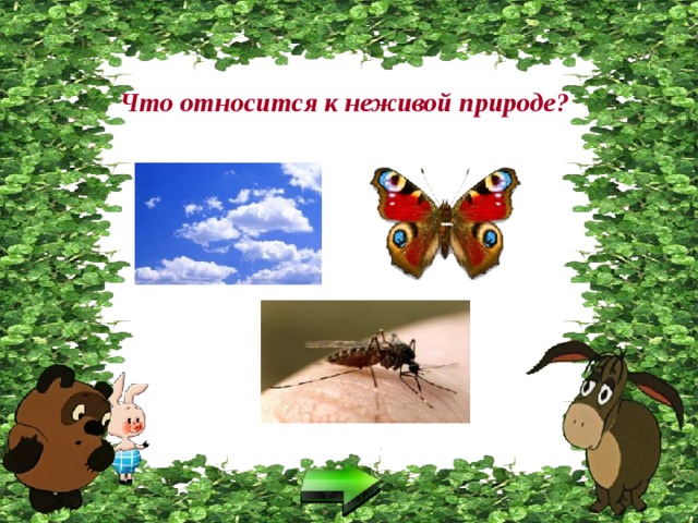 Что относится к неживой природе? 