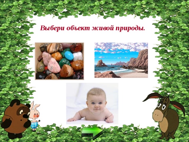 Выбери объект живой природы. 