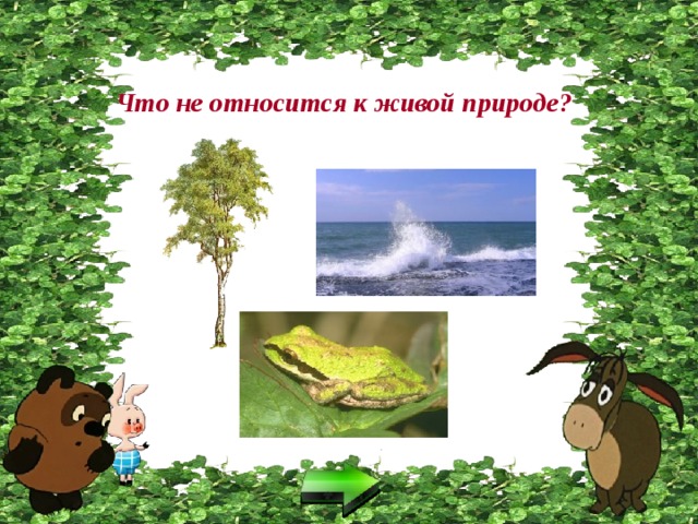 Что не относится к живой природе? 