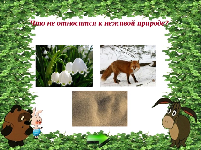 Что не относится к неживой природе? 