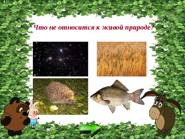 Что не относится к живой природе? 