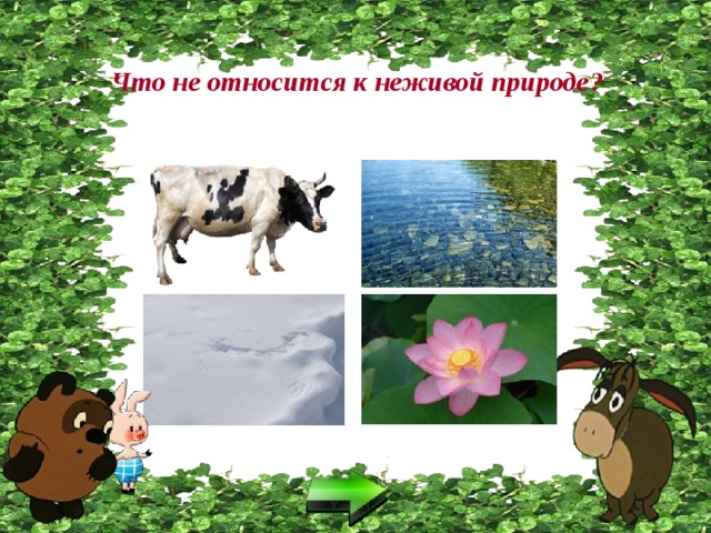Что не относится к неживой природе? 