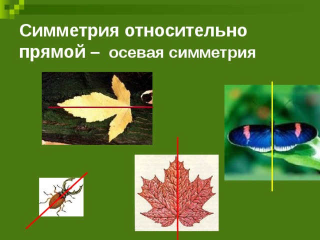 Симметрия относительно прямой – осевая симметрия 