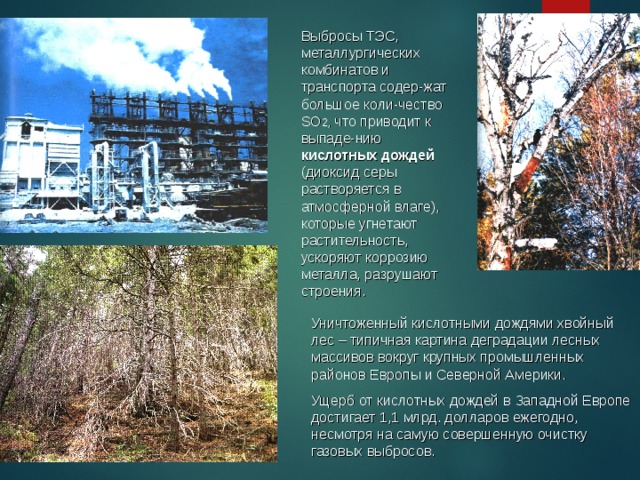 Выбросы ТЭС, металлургических комбинатов и транспорта содер-жат большое коли-чество SO 2 , что приводит к выпаде-нию  кислотных дождей (диоксид серы растворяется в атмосферной влаге), которые угнетают растительность, ускоряют коррозию металла, разрушают строения. Уничтоженный кислотными дождями хвойный лес – типичная картина деградации лесных массивов вокруг крупных промышленных районов Европы и Северной Америки. Ущерб от кислотных дождей в Западной Европе достигает 1,1 млрд. долларов ежегодно, несмотря на самую совершенную очистку газовых выбросов. 