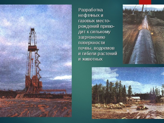 Разработка нефтяных и газовых место-рождений приво-дит к сильному загрязнению поверхности почвы, водоемов и гибели растений и животных 