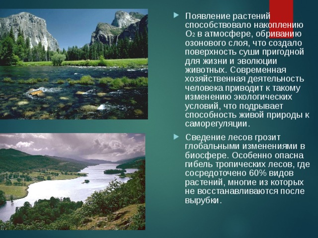 Появление растений способствовало накоплению О 2 в атмосфере, обриванию озонового слоя, что создало поверхность суши пригодной для жизни и эволюции животных. Современная хозяйственная деятельность человека приводит к такому изменению экологических условий, что подрывает способность живой природы к саморегуляции. Сведение лесов грозит глобальными изменениями в биосфере. Особенно опасна гибель тропических лесов, где сосредоточено 60% видов растений, многие из которых не восстанавливаются после вырубки.  