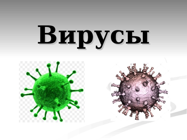 Вирусы 