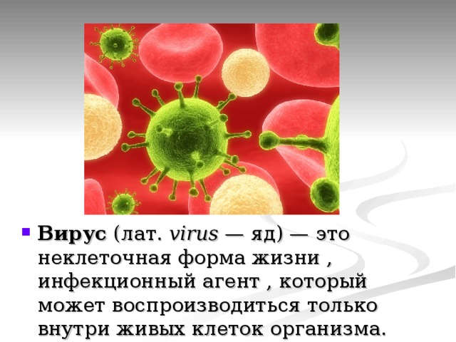 Вирус  (лат.  virus  — яд) — это неклеточная форма жизни , инфекционный агент , который может воспроизводиться только внутри живых клеток организма. 