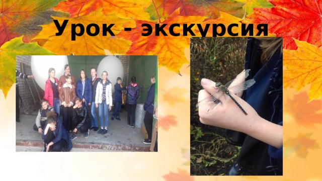 Урок - экскурсия 
