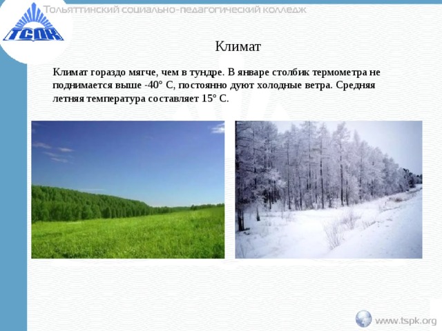 Климат Климат гораздо мягче, чем в тундре. В январе столбик термометра не поднимается выше -40º C, постоянно дуют холодные ветра. Средняя летняя температура составляет 15º С. 
