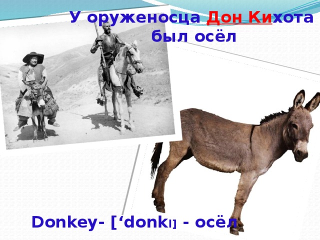 У оруженосца Дон Ки хота был осёл Donkey- [‘donk I] - осёл 