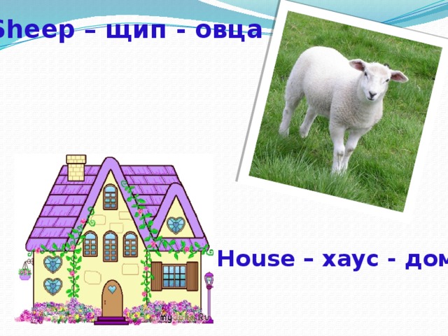 Sheep – щип - овца House – хаус - дом 