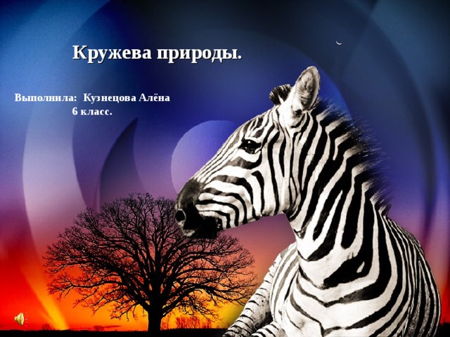 Кружева природы. Выполнила: Кузнецова Алёна 6 класс. 