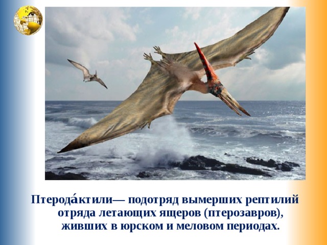 Птерода́ктили— подотряд вымерших рептилий отряда летающих ящеров (птерозавров), живших в юрском и меловом периодах. 