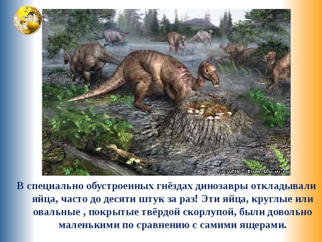 В специально обустроенных гнёздах динозавры откладывали яйца, часто до десяти штук за раз! Эти яйца, круглые или овальные , покрытые твёрдой скорлупой, были довольно маленькими по сравнению с самими ящерами. 