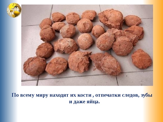 По всему миру находят их кости , отпечатки следов, зубы и даже яйца. 
