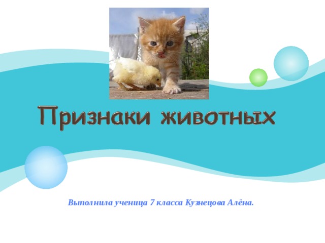 Выполнила ученица 7 класса Кузнецова Алёна. 