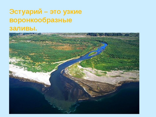 Эстуарий – это узкие воронкообразные  заливы. 