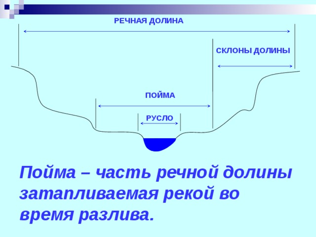 РЕЧНАЯ ДОЛИНА СКЛОНЫ ДОЛИНЫ ПОЙМА РУСЛО    Пойма – часть речной долины затапливаемая рекой во время разлива. 
