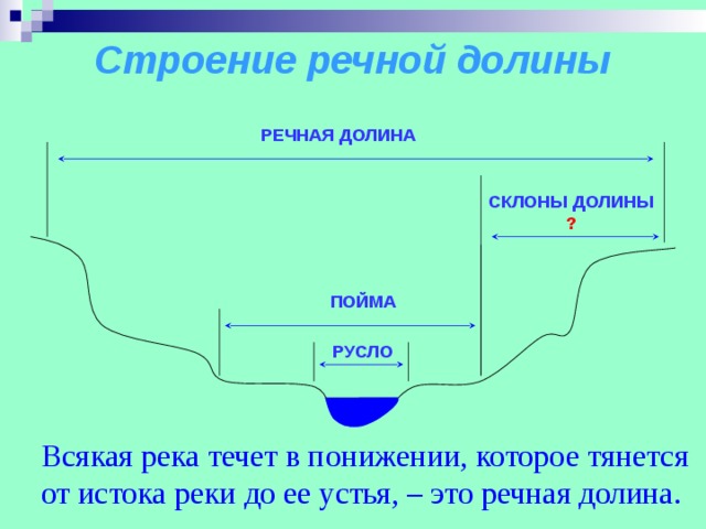 Строение речной долины РЕЧНАЯ ДОЛИНА СКЛОНЫ ДОЛИНЫ ? ПОЙМА РУСЛО Всякая река течет в понижении, которое тянется от истока реки до ее устья, – это речная долина. 