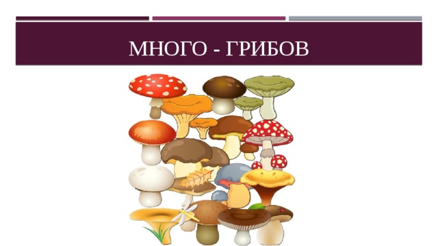 Много - грибов 