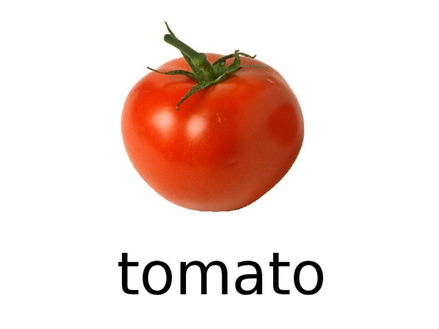 tomato 