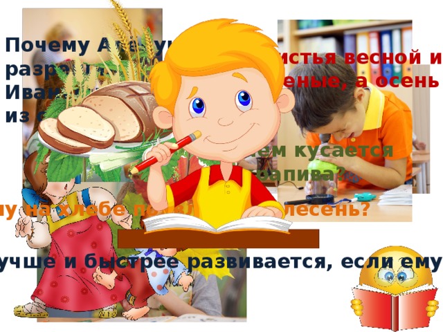 Почему Алёнушка не разрешила Иванушке пить воду из следа копытца? Почему листья весной и летом зеленые, а осень желтеют? Чем кусается крапива? Почему на хлебе появляется плесень? Ребенок лучше и быстрее развивается, если ему интересно 