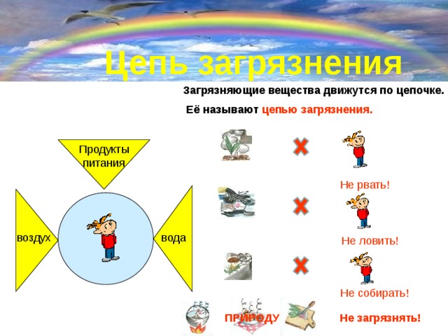 Цепь загрязнения Загрязняющие вещества движутся по цепочке.  Её называют цепью загрязнения. Продукты питания  Не рвать! вода воздух  Не ловить! Не собирать!  Не загрязнять! ПРИРОДУ 