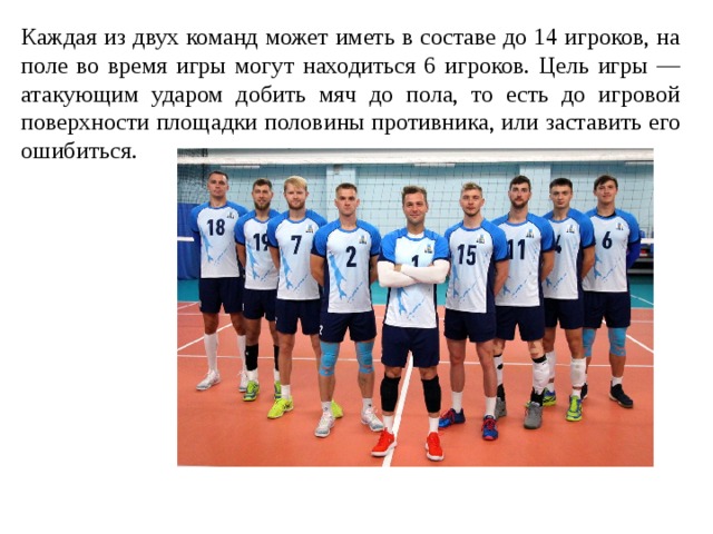 Каждая из двух команд может иметь в составе до 14 игроков, на поле во время игры могут находиться 6 игроков. Цель игры — атакующим ударом добить мяч до пола, то есть до игровой поверхности площадки половины противника, или заставить его ошибиться. 