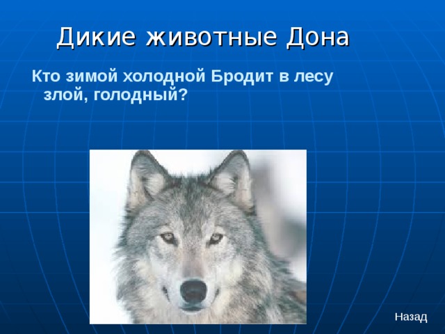 Дикие животные Дона  Кто зимой холодной Бродит в лесу злой, голодный? Назад 