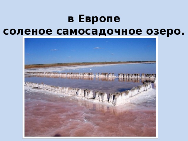 Озеро Эльтон - самое крупное  в Европе соленое самосадочное озеро.   