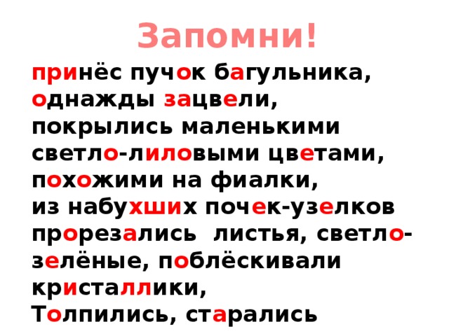 Запомни! при нёс пуч о к б а гульника, о днажды за цв е ли, покрылись маленькими светл о -л ило выми цв е тами, п о х о жими на фиалки, из набу хши х поч е к-уз е лков пр о рез а лись листья, светл о -з е лёные, п о блёскивали кр и ста лл ики, Т о лпились, ст а рались ул о вить, р а стение, в о лшебник 