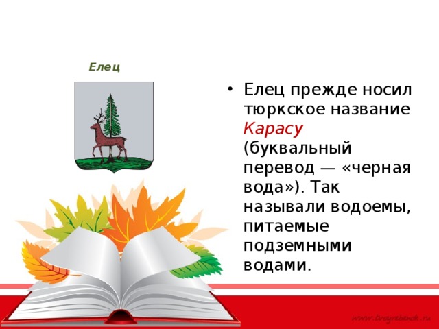 Елец Елец прежде носил тюркское название Карасу (буквальный перевод — «черная вода»). Так называли водоемы, питаемые подземными водами. 