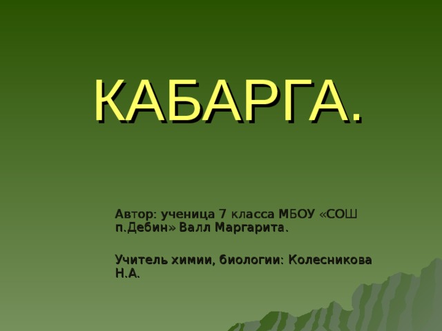 КАБАРГА. Автор: ученица 7 класса МБОУ «СОШ п.Дебин» Валл Маргарита. Учитель химии, биологии: Колесникова Н.А. 