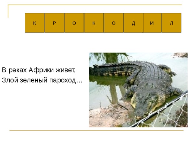 В реках Африки живет, Злой зеленый пароход… 